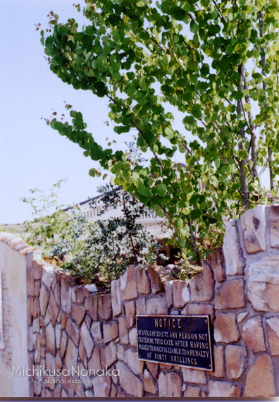 c0324507_18401204.jpg