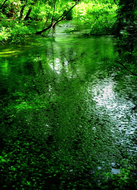 c0097309_11493469.jpg