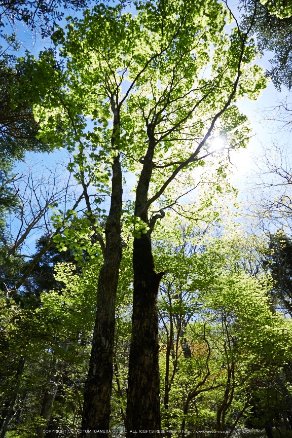 f0221510_22455117.jpg