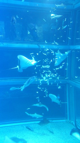 f0276510_23401254.jpg