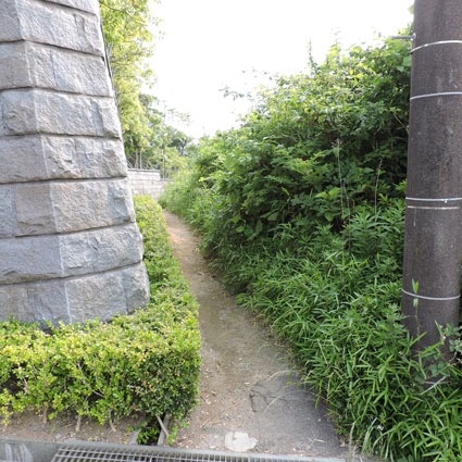 e0034013_1774896.jpg