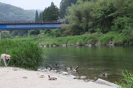 f0191413_21544241.jpg