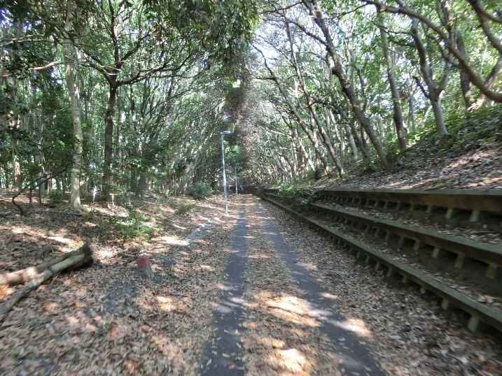 f0232417_0242279.jpg
