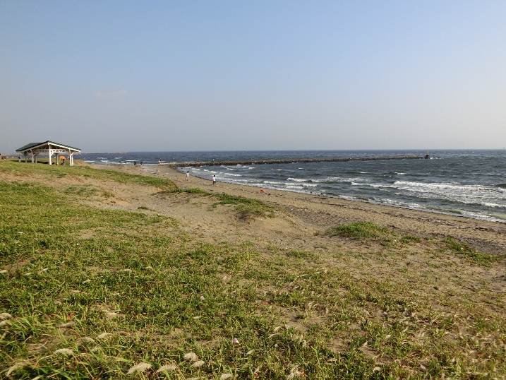 f0232417_029587.jpg