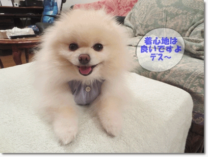 b0167519_23485857.gif