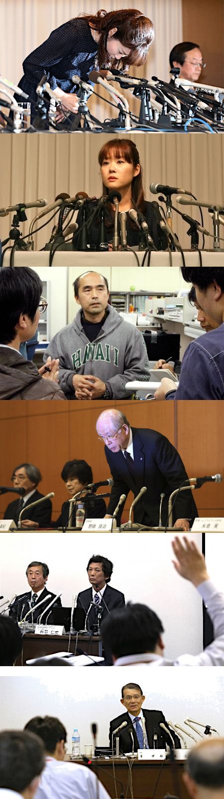 崩壊が始まった「STAP細胞」の神話と幻想 - 岸輝雄と野依良治の権力闘争_c0315619_16134070.jpg