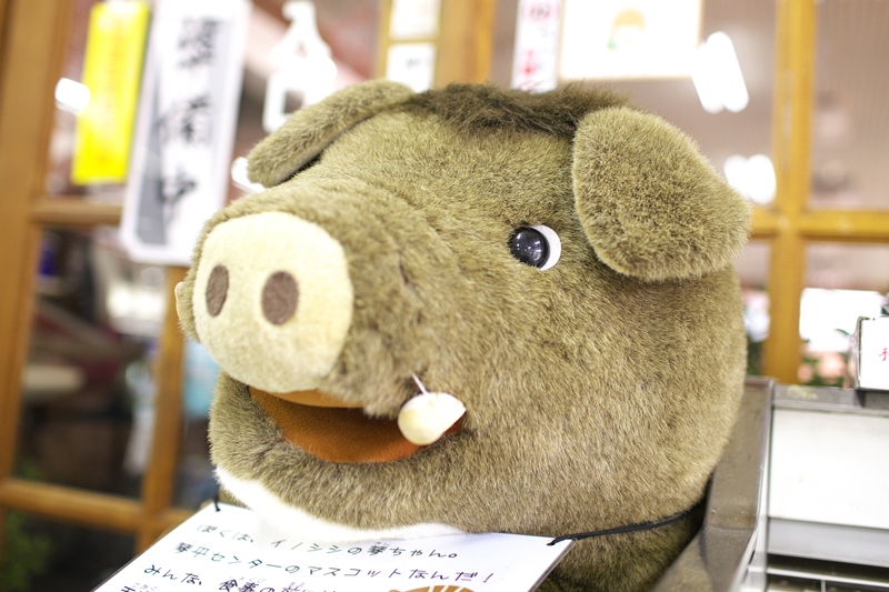 a0243720_15445200.jpg