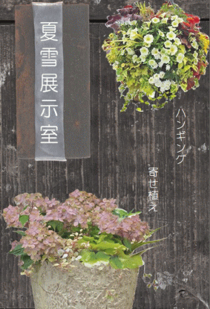 ぎゃらりーマドベ 次回予告 Summer Snow展 【夏雪展示室】①_a0251920_18352541.gif