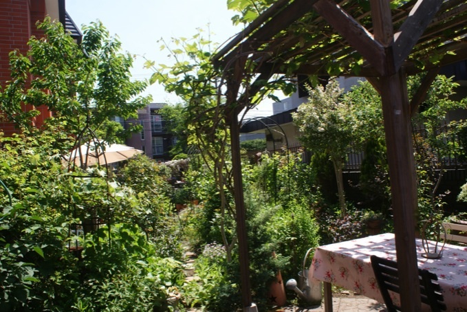 f0170524_2239208.jpg