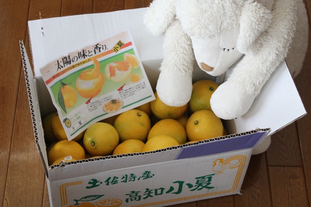 小夏と野菜サンド。_f0348831_20002938.jpg