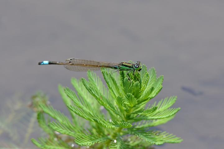b0191934_22201877.jpg
