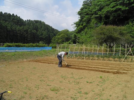 雨が来る来る・・・_a0123836_16365633.jpg