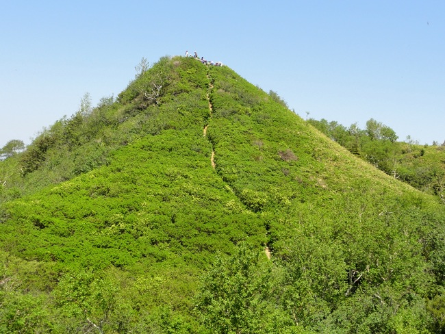 d0235336_1259426.jpg