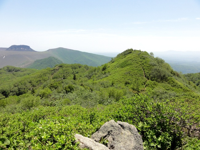 d0235336_1301611.jpg