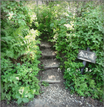 d0235336_13193063.png
