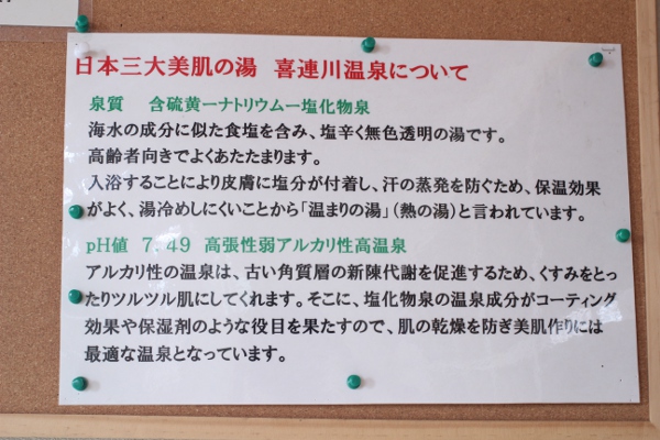 喜連川 道の駅きつれがわ 無料で日本三大美肌の湯が楽しめる足湯_e0227942_17475451.jpg