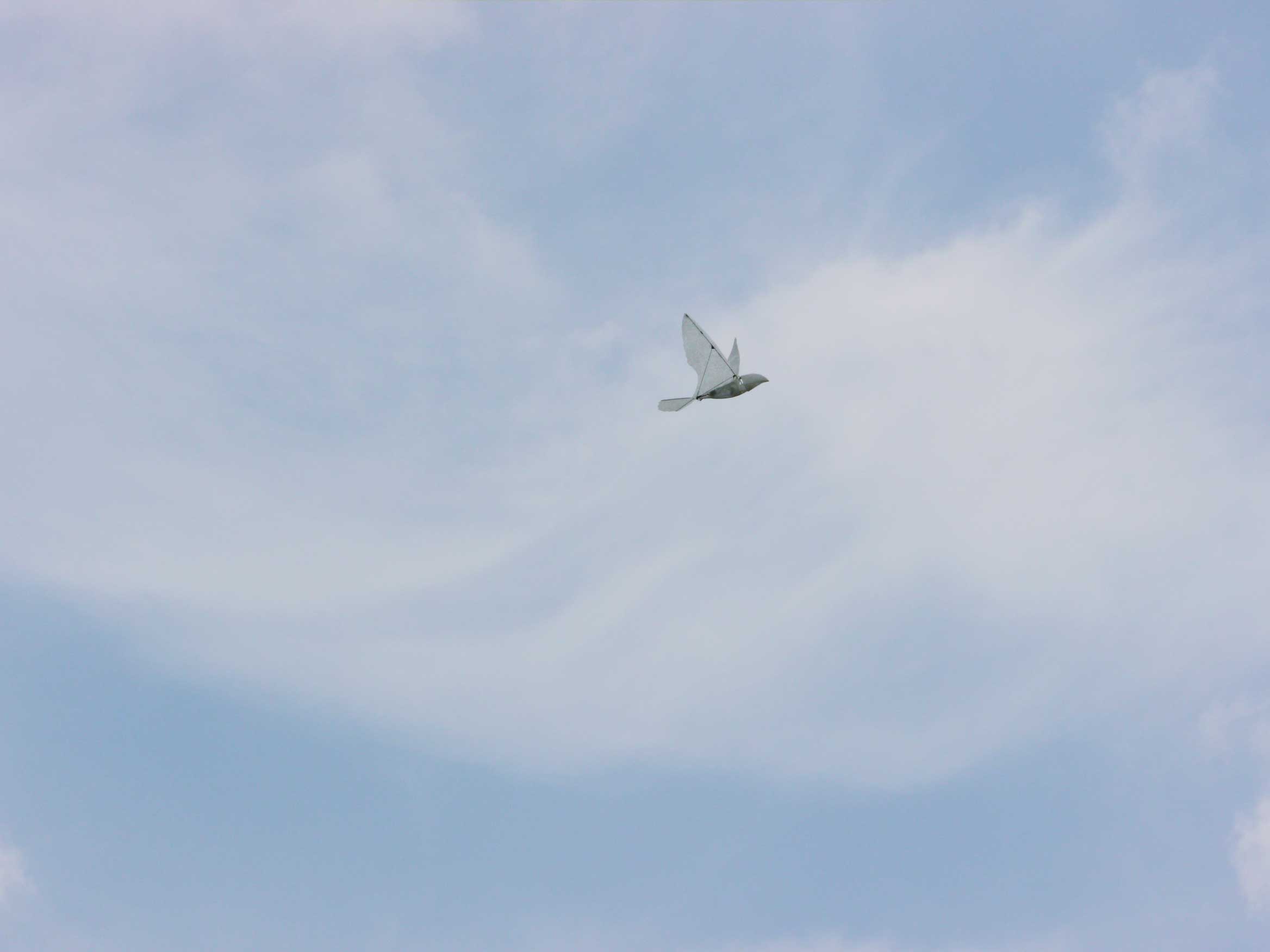 入梅前の飛行テスト_d0067943_22552653.jpg
