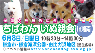 湘南犬親会_d0149446_12225623.jpg