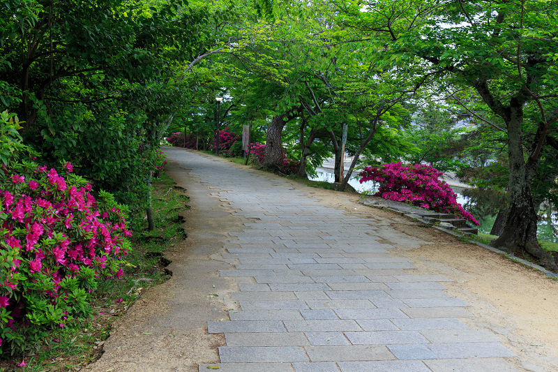 平等院・花景色_f0155048_23143884.jpg