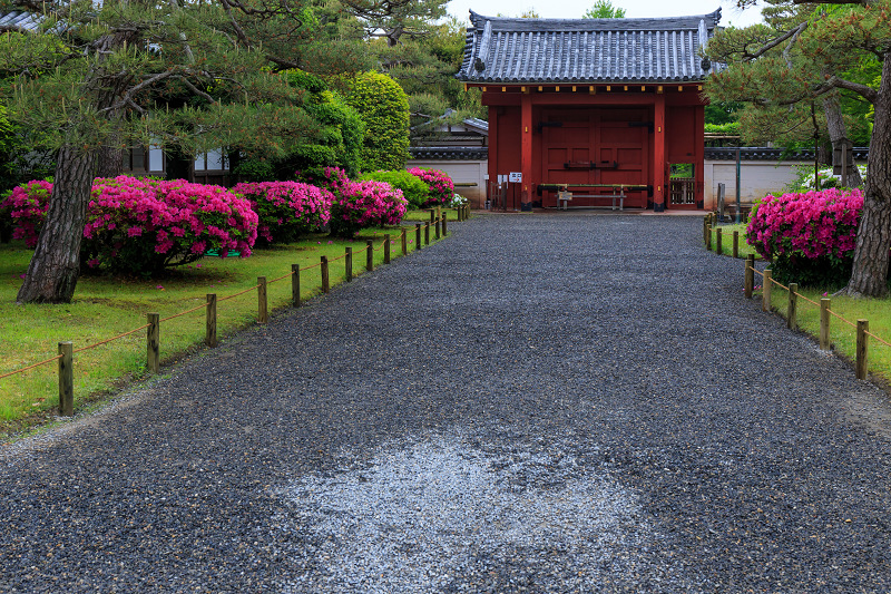 平等院・花景色_f0155048_2318978.jpg