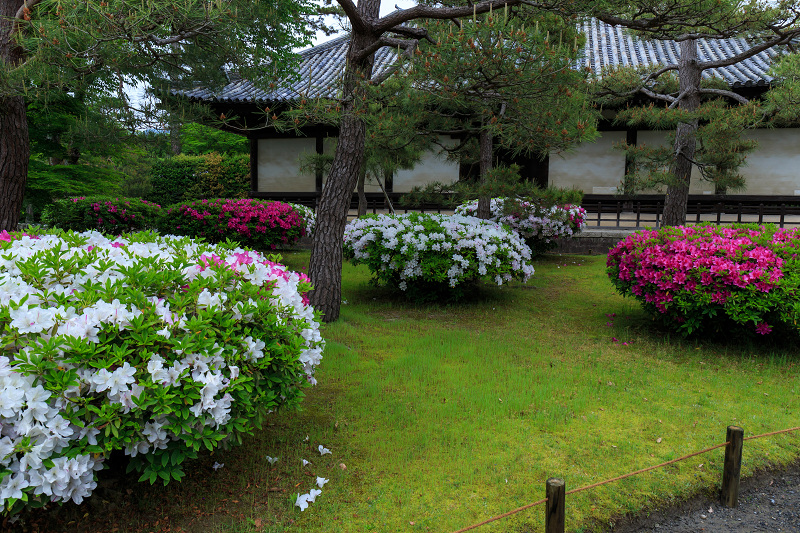 平等院・花景色_f0155048_23201690.jpg