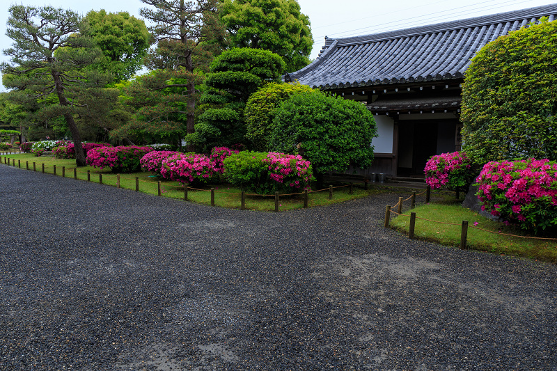 平等院・花景色_f0155048_2320448.jpg