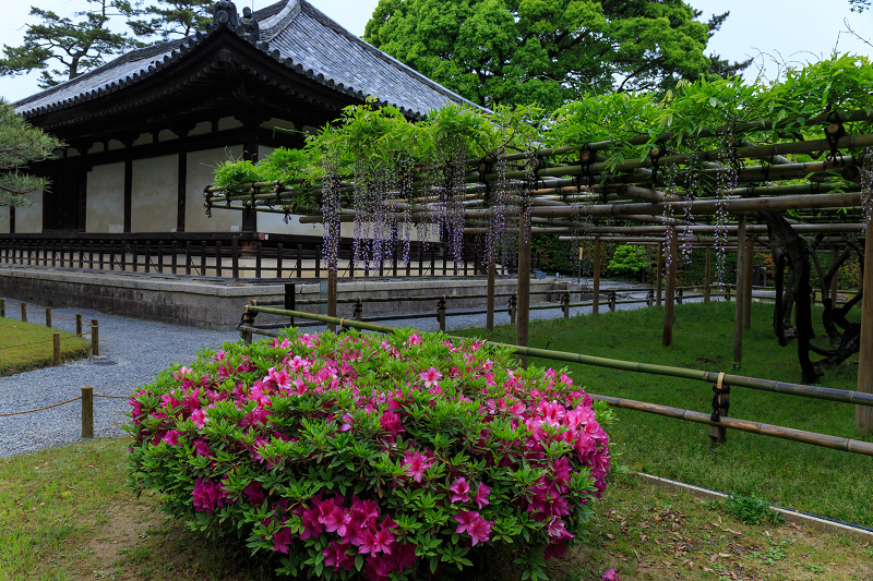 平等院・花景色_f0155048_23232784.jpg