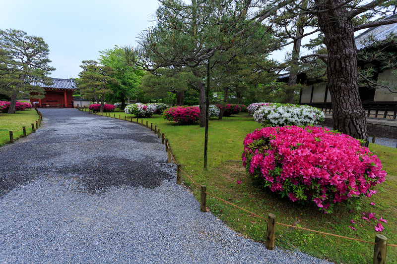 平等院・花景色_f0155048_23263628.jpg