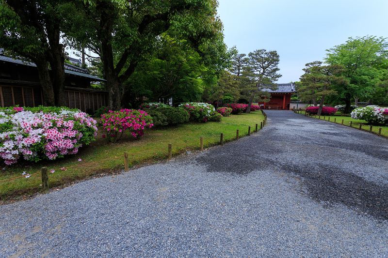 平等院・花景色_f0155048_2329168.jpg