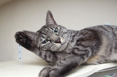 そろそろ、なれ始めました。_a0028451_18483671.jpg