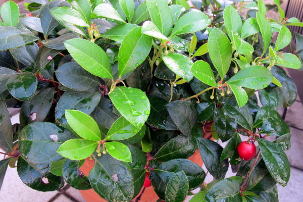 c0147952_2247581.jpg