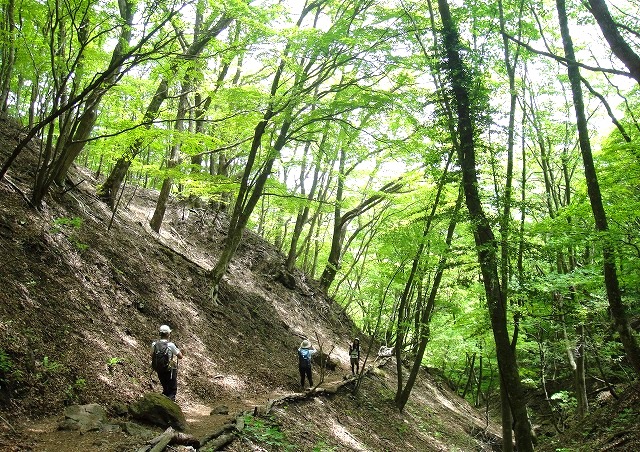 ＜2014年５月18～22日＞2014九州登山ﾃﾞﾋﾞｭｰ＆歴史探訪旅①：（由布岳・大崩山）_c0119160_21524425.jpg