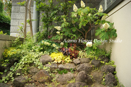 お庭のビフォー・アフター_f0215262_1793722.jpg