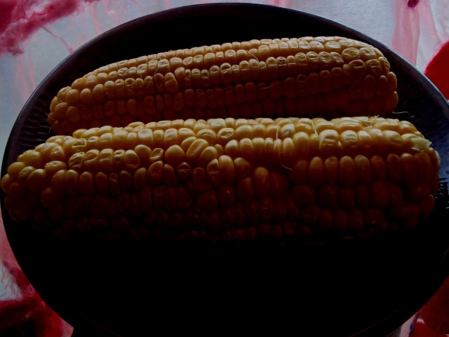 d0105967_193064.jpg