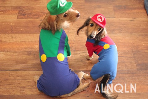 犬服 マリオ ルイージ Alnqln