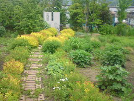 e0115872_9335892.jpg