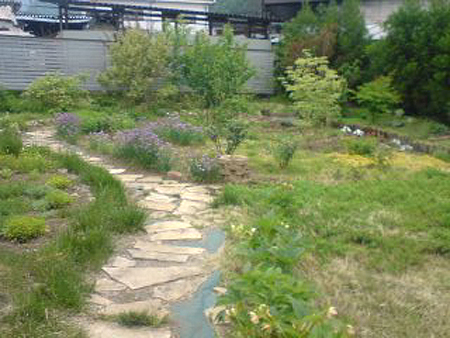 e0115872_9342085.jpg