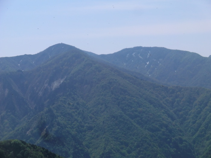 No349 2日後にまた北陸へ・シャクナゲﾛｰﾄﾞの火燈山から富士写ケ岳_b0185573_14101665.jpg