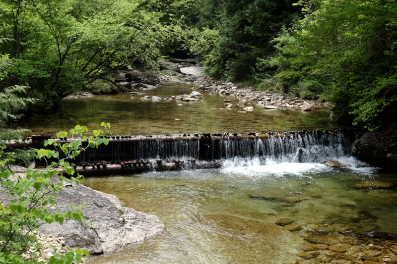 e0015174_16402513.jpg