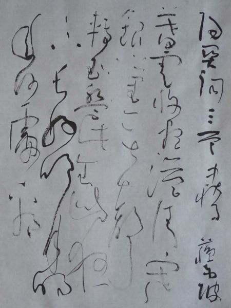 蘇東坡_c0169176_07470394.jpg