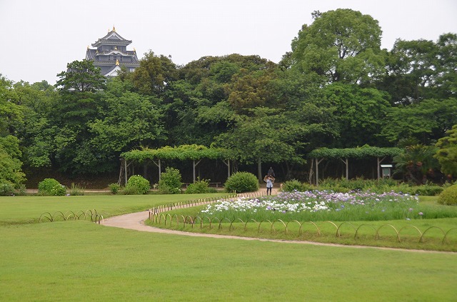 2014年6月4日　【中国地方　梅雨入り！】_a0185880_15555134.jpg