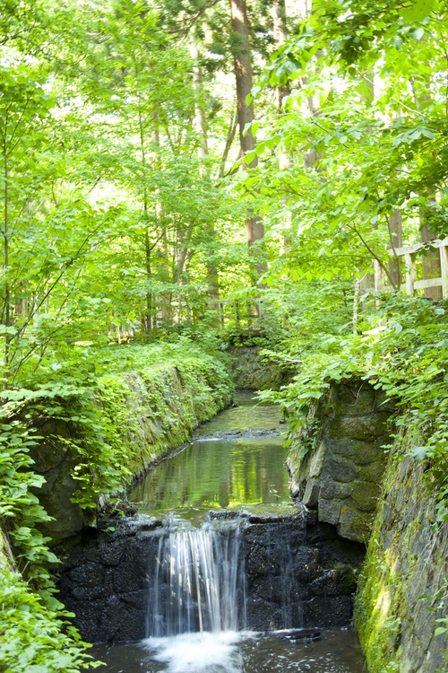 e0068480_21435118.jpg