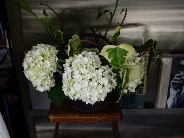 花とファッション アジサイとbossert schorn_e0122680_17533338.jpg