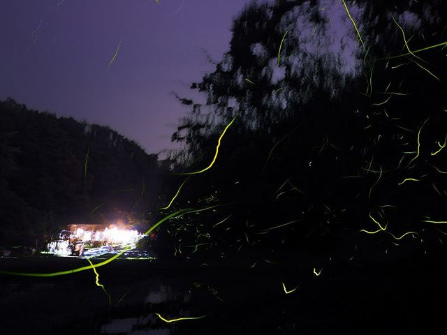 a0182281_1764179.jpg