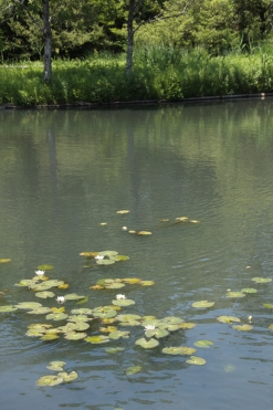 b0207284_2111792.jpg
