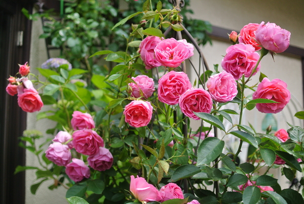 b0299185_21514913.jpg