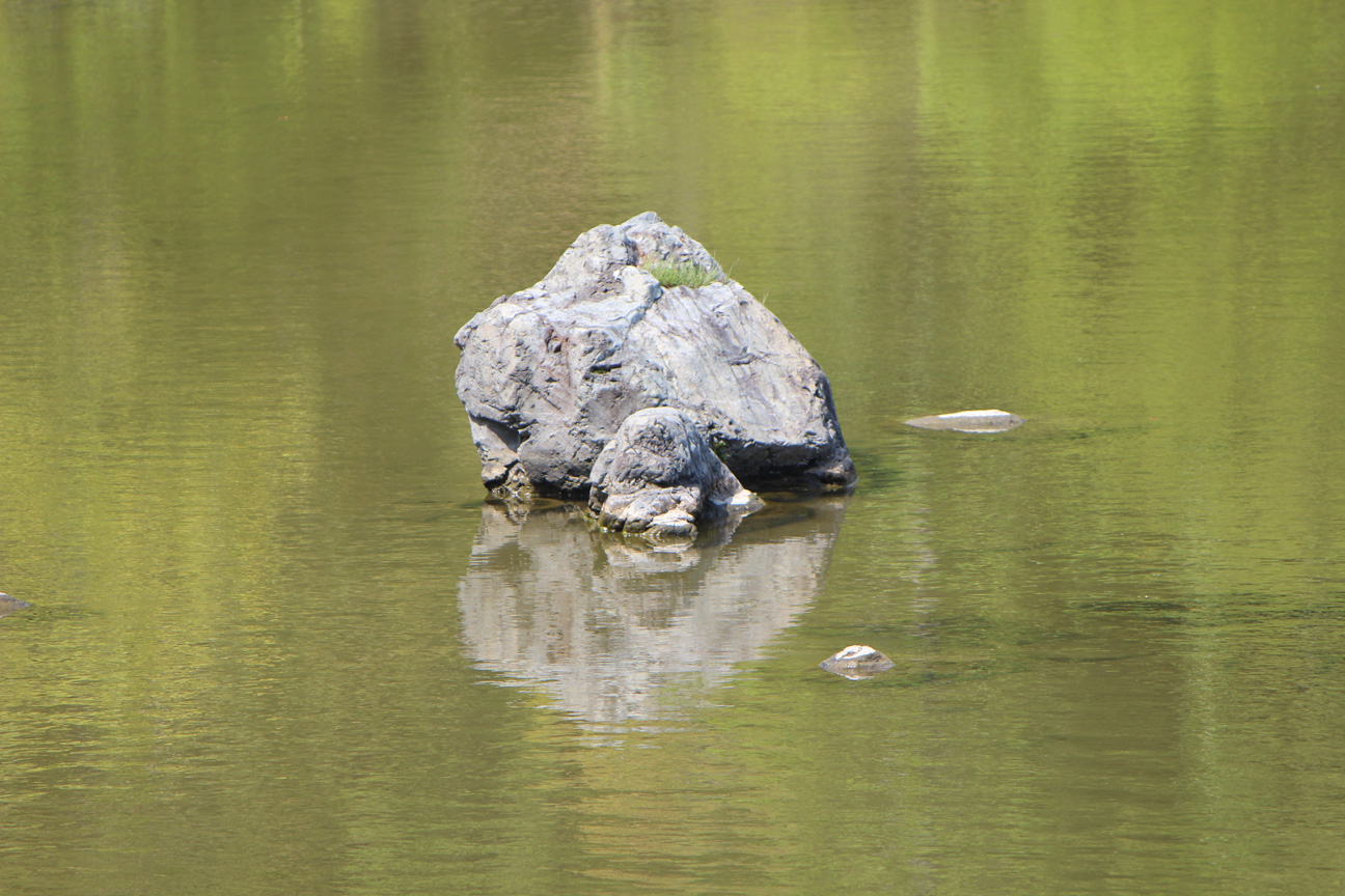 万博公園 日本庭園_c0141986_23165693.jpg