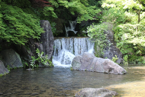 万博公園 日本庭園_c0141986_23224733.jpg