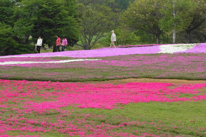 静岡・山梨・群馬・長野県めぐり　7_b0093088_794292.jpg