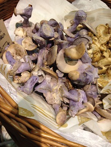 f0238789_2141418.jpg